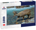 Male South Andean Deer (Hippocamelus bisulcus) crossing a river, Aysen Region, Patagonia, Chile 1000pc Puzzle