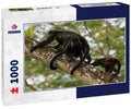 Wild Mantled Monkey – 1000 Piece Wildlife Puzzle