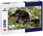 Wild Mantled Monkey – 1000 Piece Wildlife Puzzle