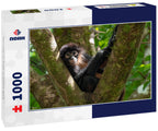 Monkey in Tree – 1000 Piece Wildlife Puzzle