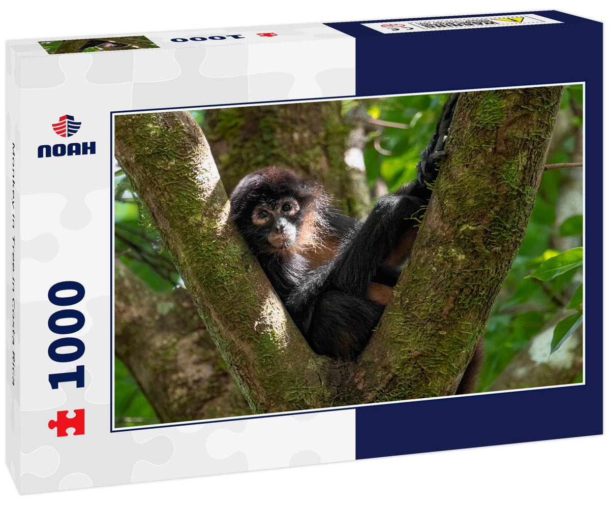 Monkey in Tree – 1000 Piece Wildlife Puzzle