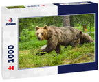 Brown bear in Finland 1000pc Puzzle