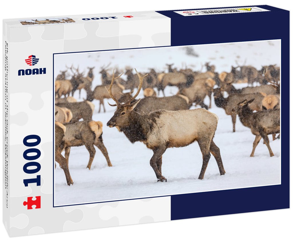 Elk at Oak Creek Wildlife Area – 1000 Piece Wildlife Puzzle