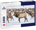 Elk at Oak Creek Wildlife Area – 1000 Piece Wildlife Puzzle