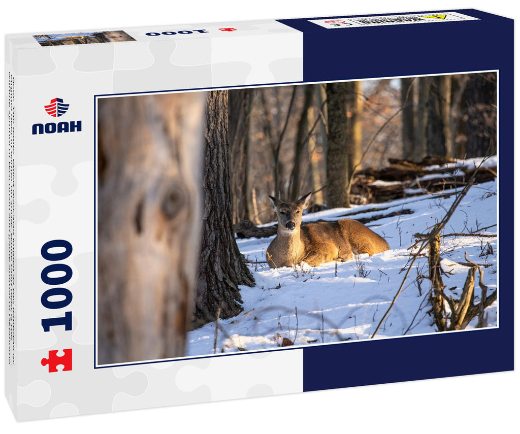 White-Tailed Deer in Winter – 1000 Piece Wildlife Puzzle