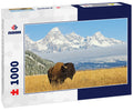 Bison in front of Grand Teton Mountain range with grass in foreground, Wyoming 1000pc Puzzle