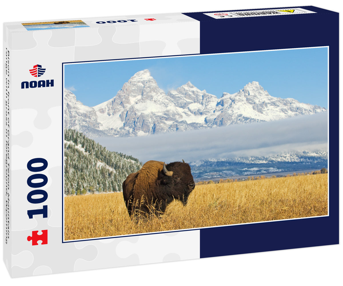 Bison in front of Grand Teton Mountain range with grass in foreground, Wyoming 1000pc Puzzle