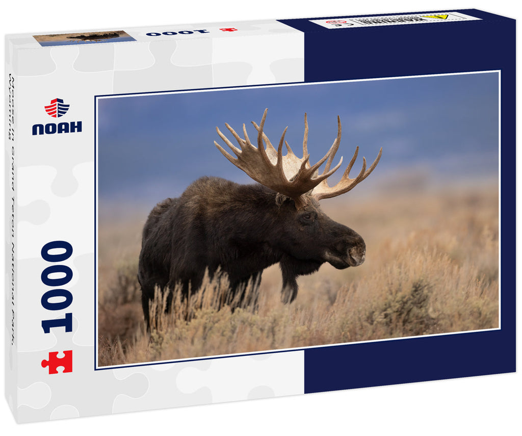 Moose in Grand Teton National Park, Wyoming 1000pc Puzzle
