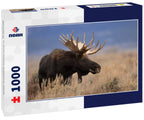 Moose in Grand Teton National Park, Wyoming 1000pc Puzzle