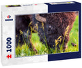 A wild bison grazes in Theodore Roosevelt National Park, North Dakota 1000pc Puzzle