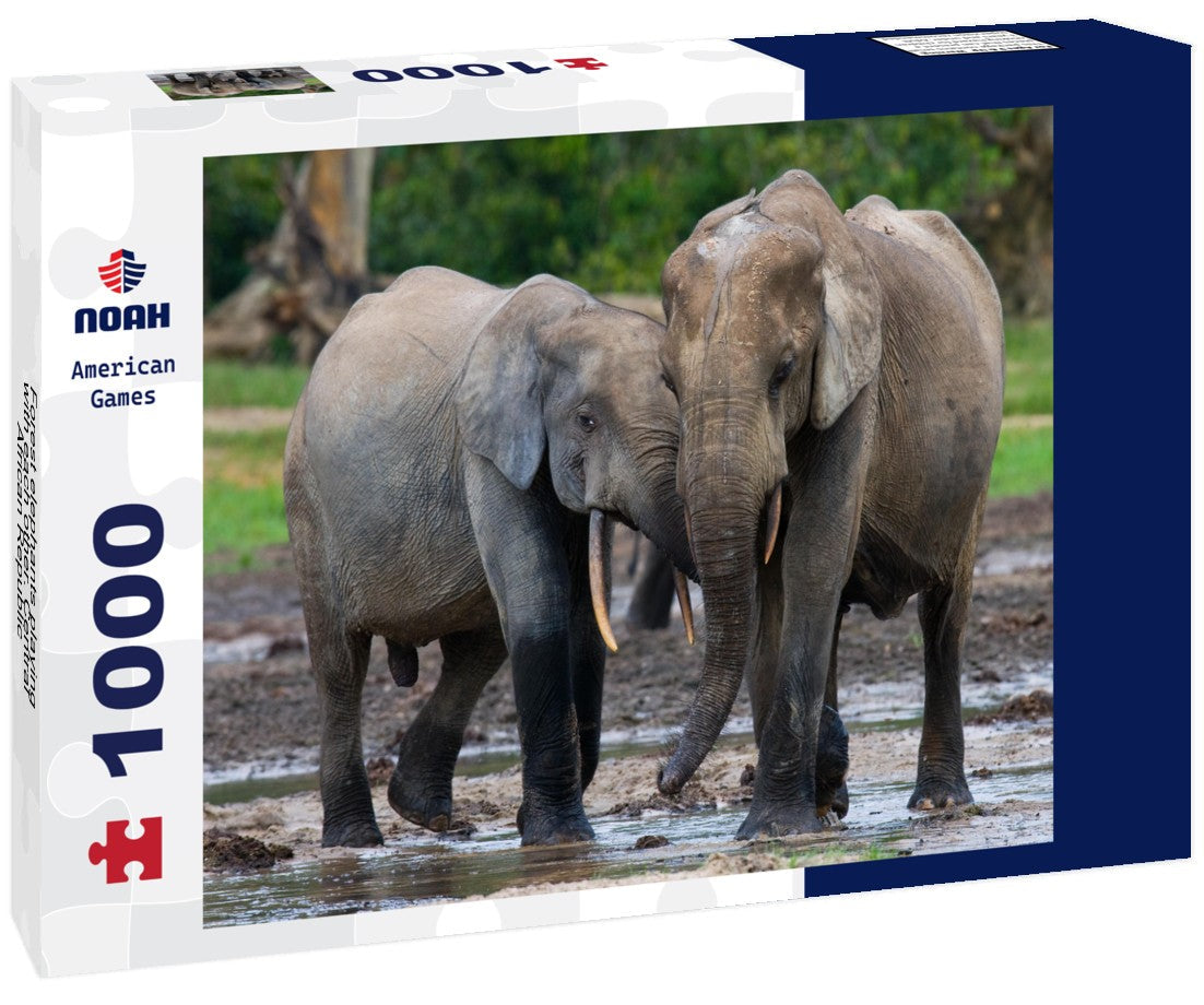 Forest Elephants Playing – 2000 Piece Adult B&W Wildlife Puzzle