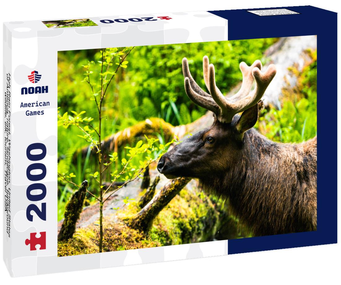 Hoh Rain Forest with Elk – 2000 Piece Adult Wildlife Puzzle