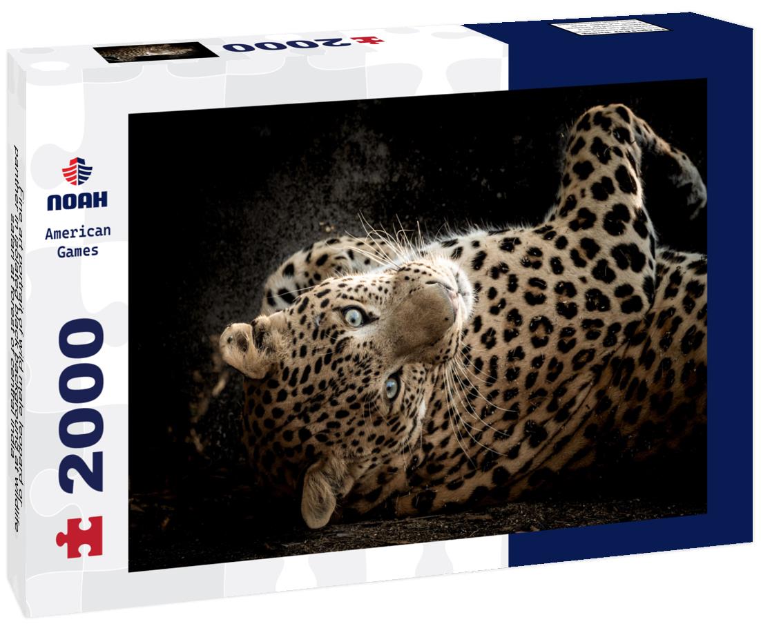 Wild Leopard Portrait – 2000 Piece Adult Wildlife Puzzle