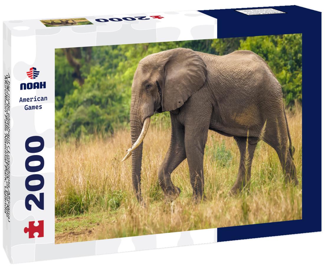 Big Male Elephant at the Nile – 2000 Piece Adult Wildlife Puzzle