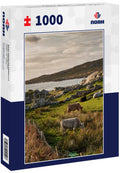 Herd of cows in a field, by the Atlantic ocean, West coast of Ireland 1000pc Puzzle