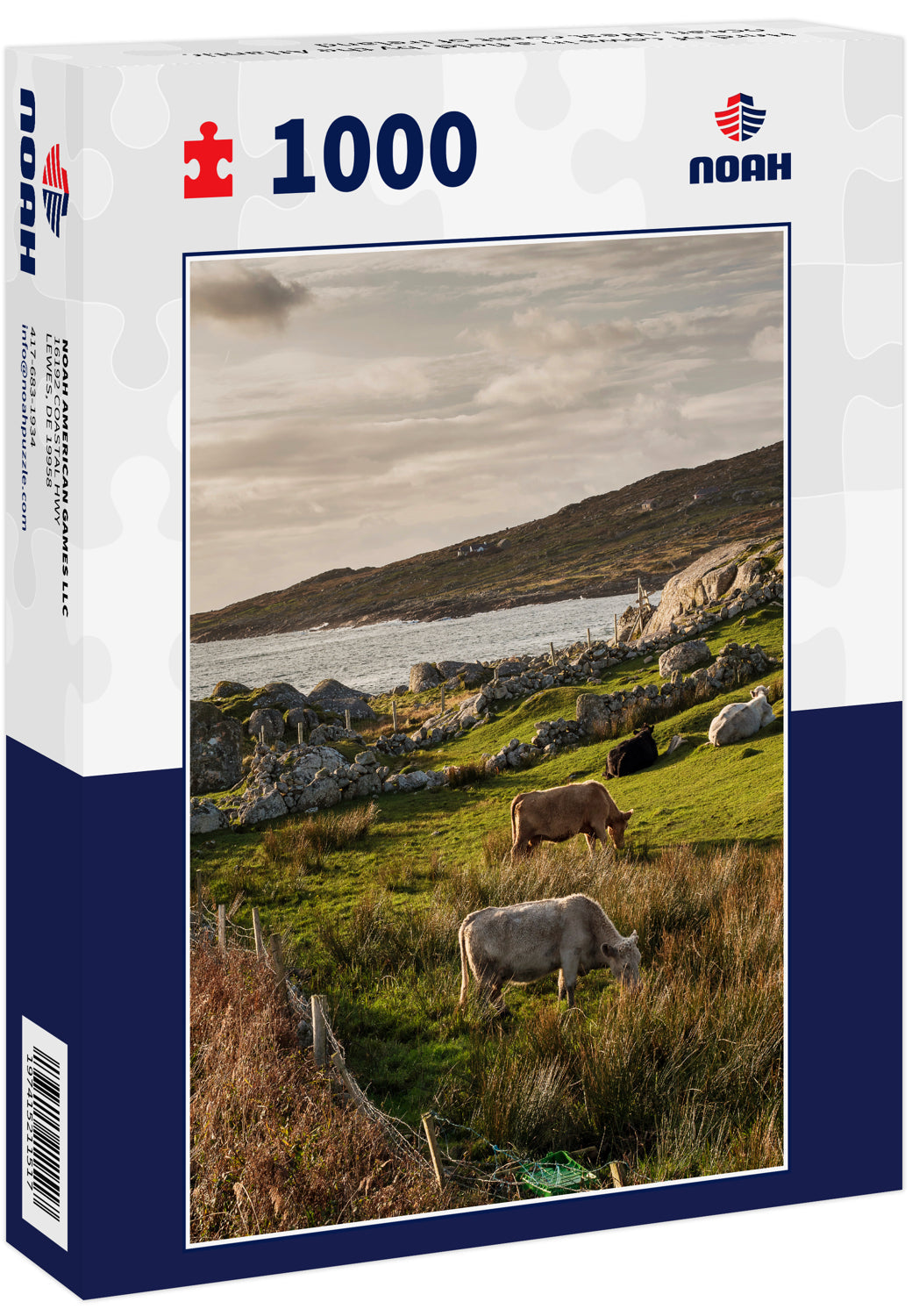 Herd of cows in a field, by the Atlantic ocean, West coast of Ireland 1000pc Puzzle