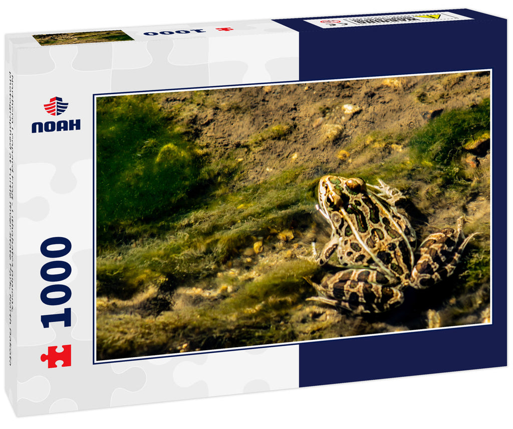 Northern Leopard Frog - Lithobates pipiens, photographed at Turtle River State Park, North Dakota 1000pc Puzzle
