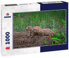Prairie Dog Pair at Theodore Roosevelt National Park – 1000 Piece Wildlife Puzzle