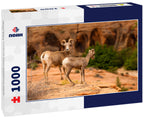 Mountain Goat in Zion National Park, Utah, USA 1000pc Puzzle