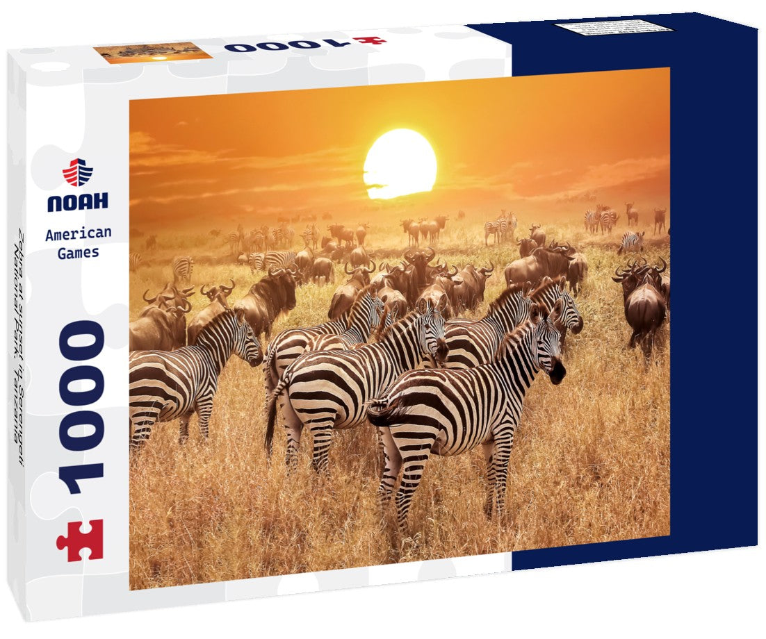 Zebra at sunset, Tanzania, Africa, grazes in Serengeti National Park. 1000pc PuzzleBlack and White