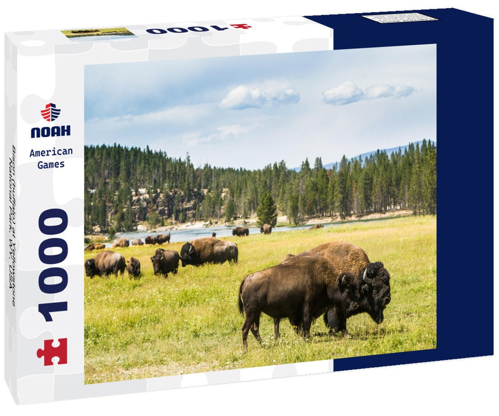 American bison grazing in Yellowstone National Park, Wyoming, USA. 1000pc PuzzleBlack and White