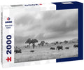 African Savannah Elephants – 2000 Piece Adult B&W Wildlife Puzzle