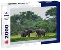 African Bush Elephant – 2000 Piece Adult Wildlife Puzzle
