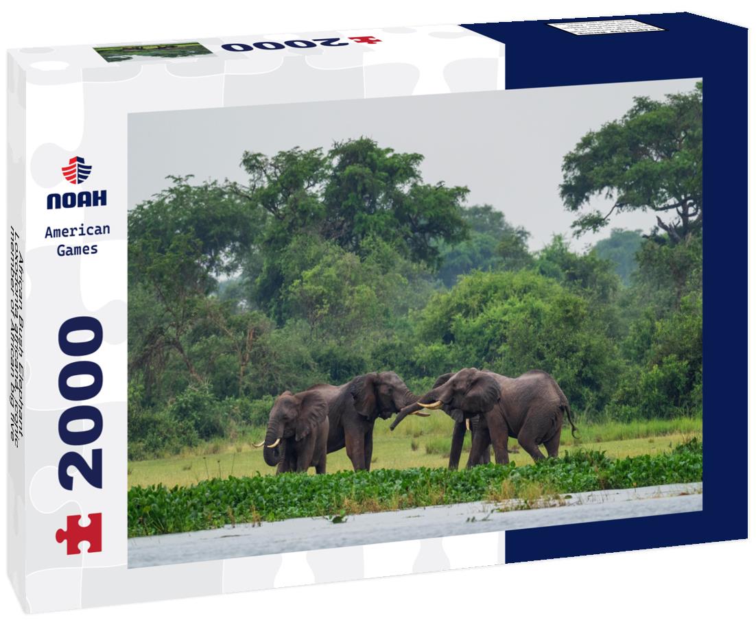 African Bush Elephant – 2000 Piece Adult Wildlife Puzzle