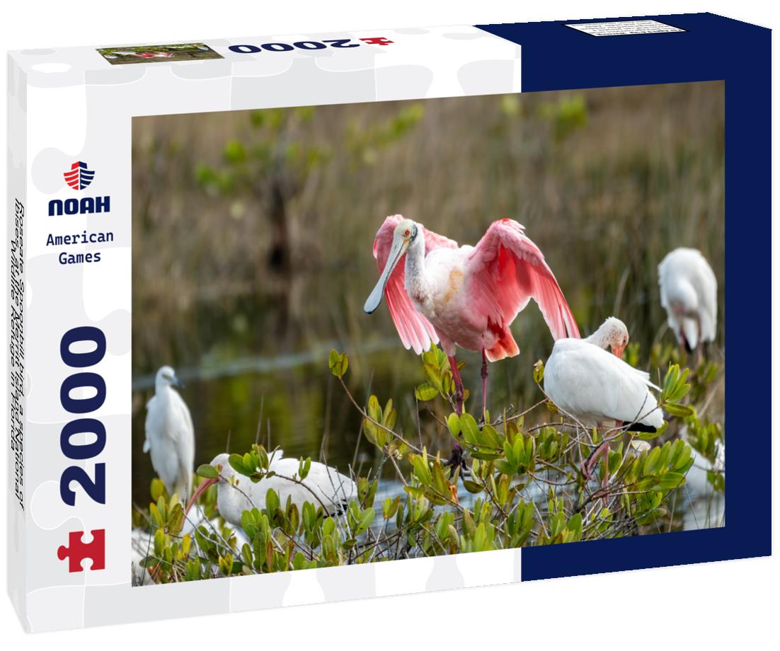 Roseate Spoonbill – 2000 Piece Adult Wildlife Puzzle