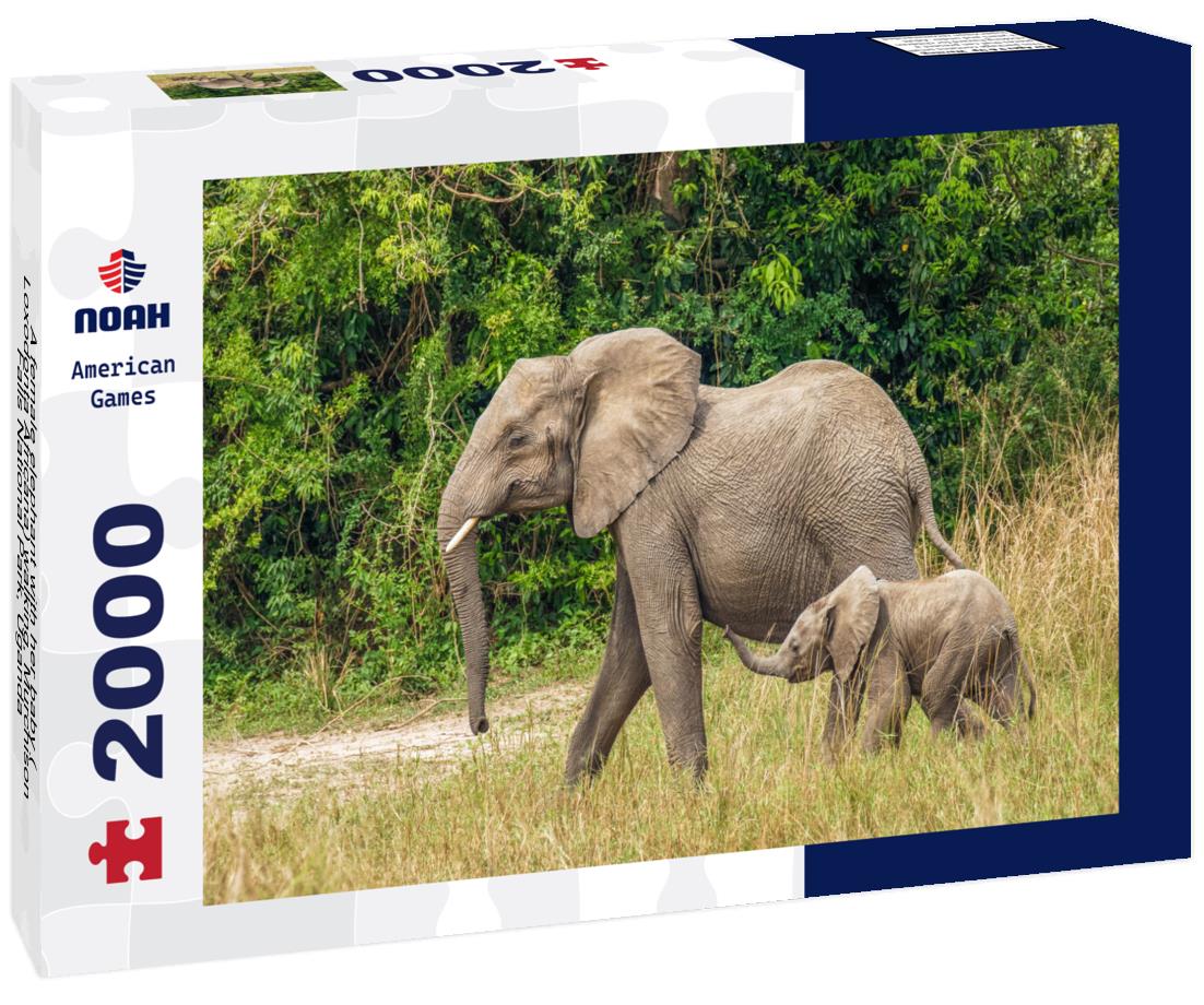 Female Elephant with Baby – 2000 Piece Adult Wildlife Puzzle