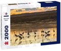 Sandhill Cranes at Sunset – 2000 Piece Adult Wildlife Puzzle