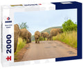 Elephants Walking – 2000 Piece Adult Wildlife Puzzle