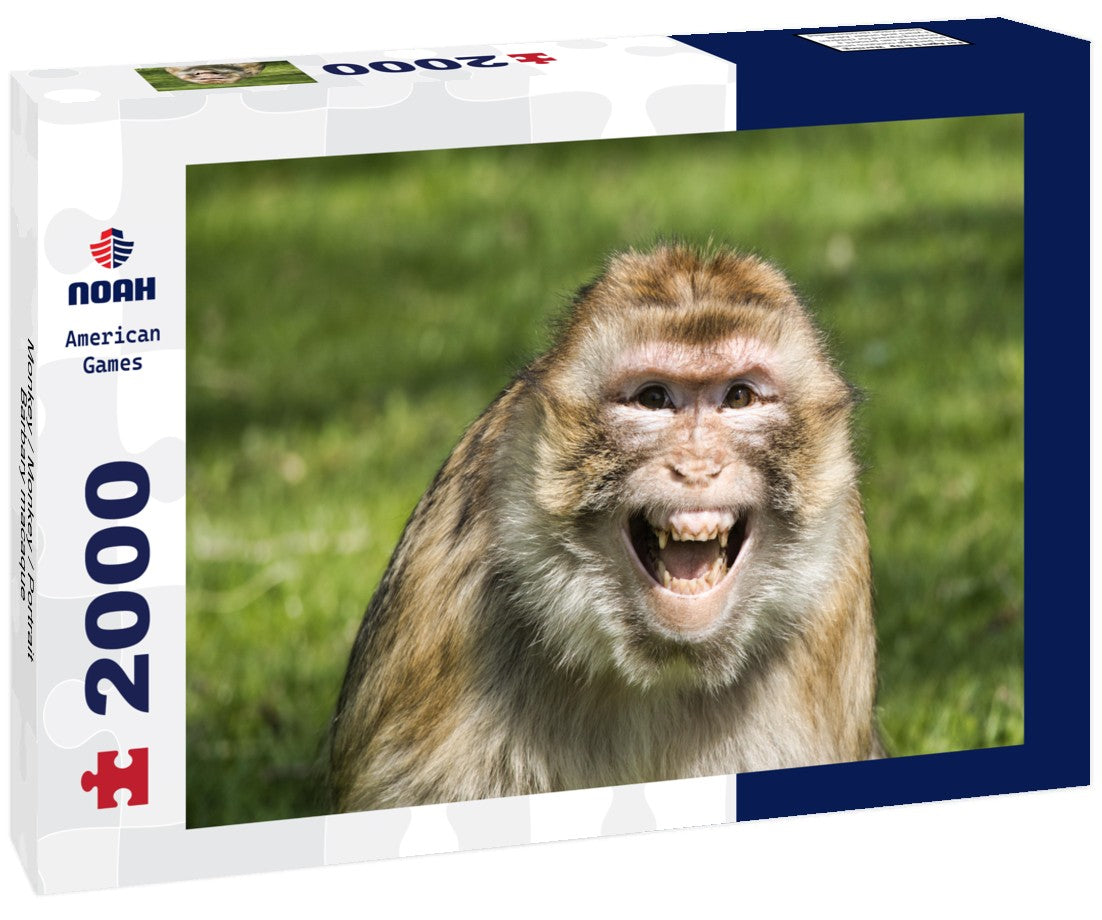 Barbary Macaque Portrait – 2000 Piece Wildlife Puzzle