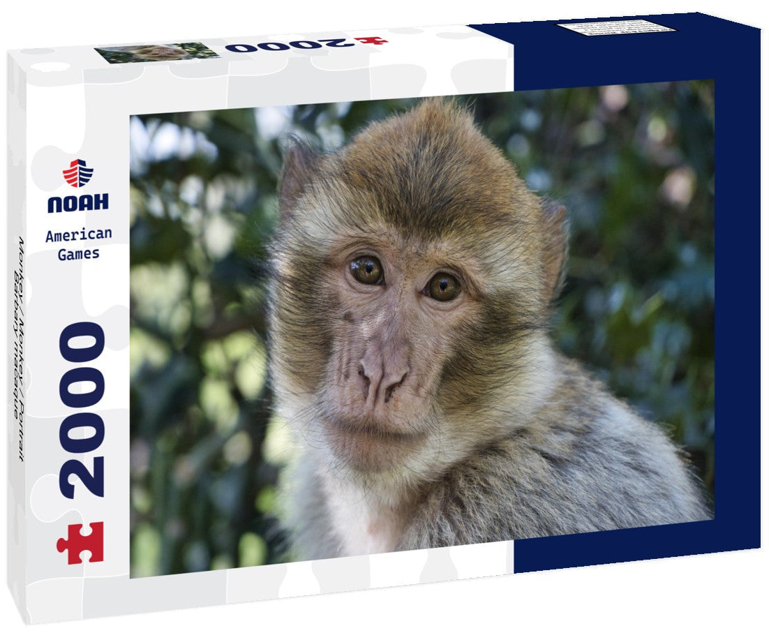 Barbary Macaque Portrait – 2000 Piece Adult Wildlife Puzzle