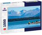 Brown bear family, sow with three cubs on a sand spit in Naknek Lake, Katmai National Park, Alaska, USA 1000pc Puzzle