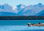 Brown bear family, sow with three cubs on a sand spit in Naknek Lake, Katmai National Park, Alaska, USA 1000pc Puzzle