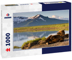 Grizzly Bear, Katmai National Park, Alaska 1000pc Puzzle