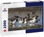 Snow Geese at Colusa Wildlife Refuge – 1000 Piece Wildlife Puzzle