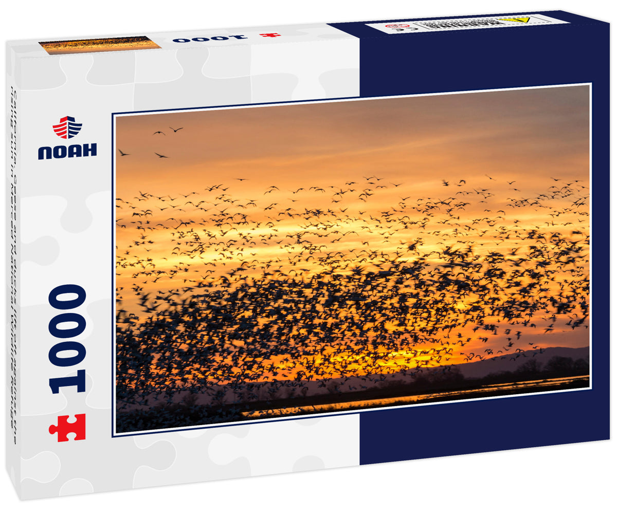 California. Geese and ducks lift off against the rising sun in Merced National Wildlife Refuge 1000pc Puzzle