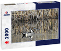 Northern pintail duck swimming in the San Luis National Wildlife Refuge, California 1000pc Puzzle