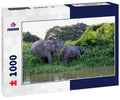 Borneo Pygmy Elephants – 1000 Piece Wildlife Puzzle