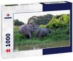 Borneo Pygmy Elephants – 1000 Piece Wildlife Puzzle