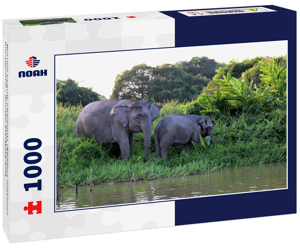 Borneo Pygmy Elephants – 1000 Piece Wildlife Puzzle