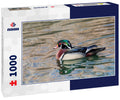 Wood Duck Drake small pond Botanical Gardens wintertime, Albuquerque, New Mexico 1000pc Puzzle
