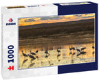 Sandhill Cranes at Sunset – 1000 Piece Wildlife Puzzle