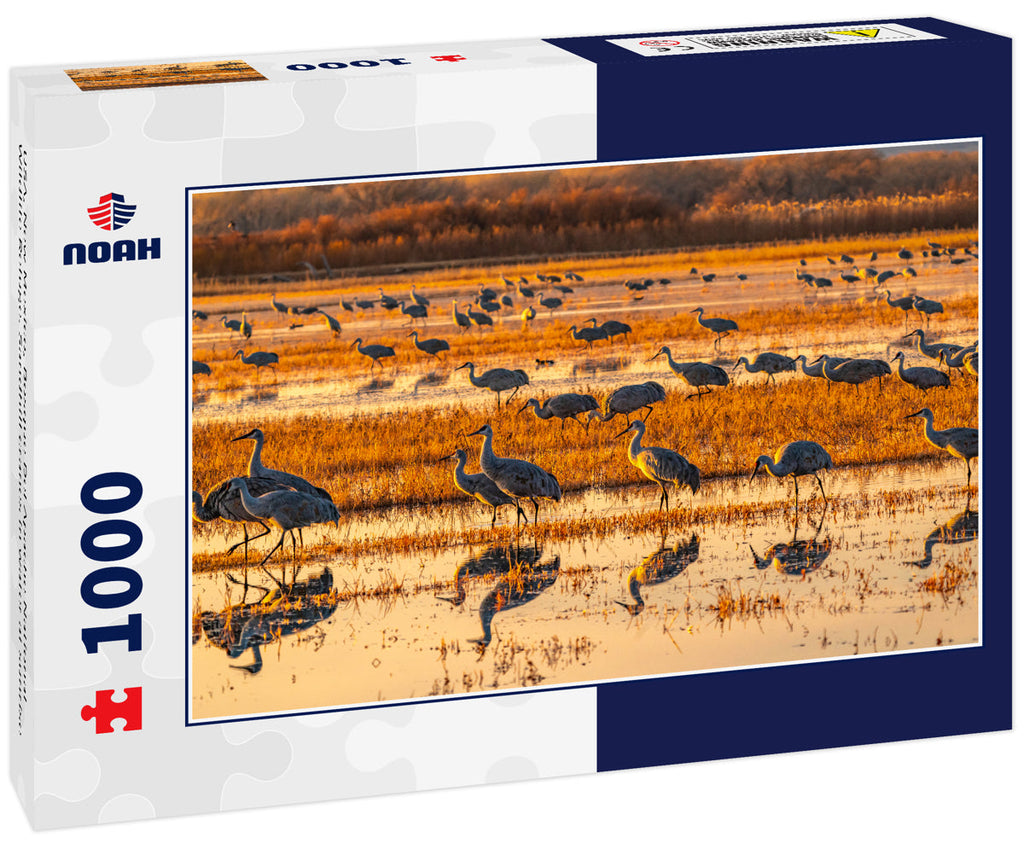 Sandhill Cranes at Sunrise – 1000 Piece Wildlife Puzzle