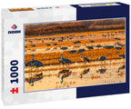 Sandhill Cranes at Sunrise – 1000 Piece Wildlife Puzzle