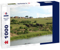 Elephants are standing by the Nile River in Uganda, Africa. 1000pc Puzzle