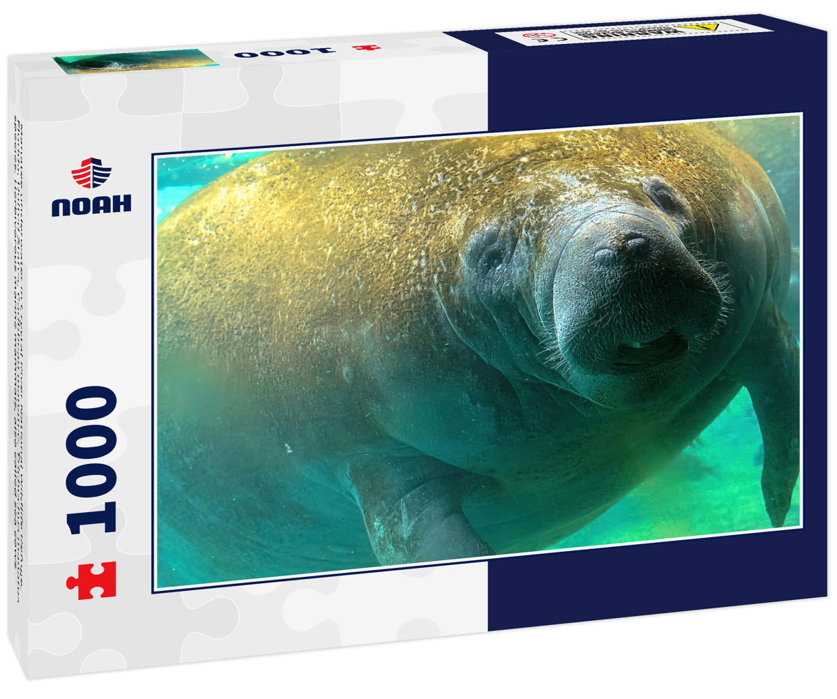 Manatee Underwater – 1000 Piece Wildlife Puzzle
