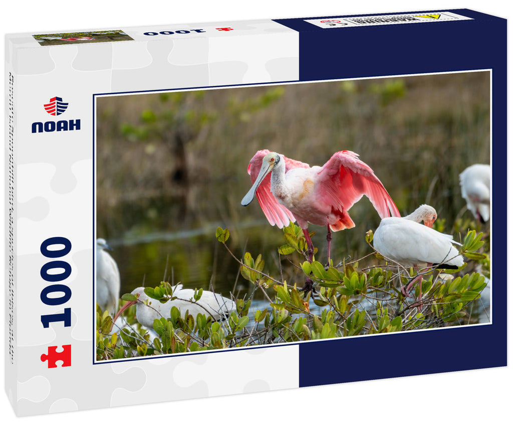 Roseate Spoonbill – 1000 Piece Wildlife Puzzle